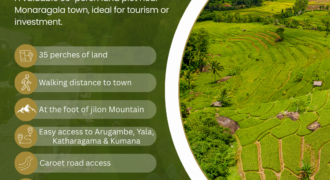 Land for Sale – Monaragala