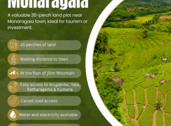 Land for Sale – Monaragala