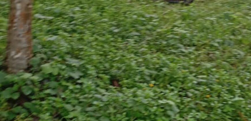 Land for Sale – Rajagiriya