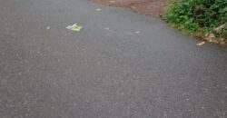 Land for Sale – Rajagiriya