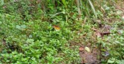 Land for Sale – Rajagiriya