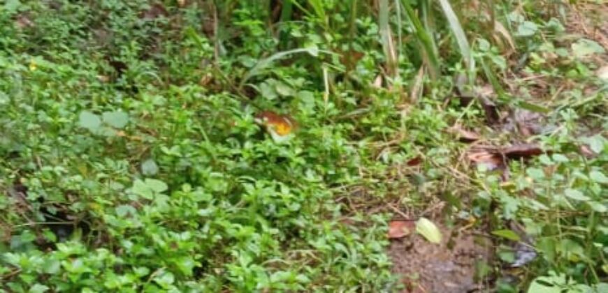 Land for Sale – Rajagiriya