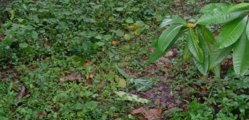 Land for Sale – Rajagiriya