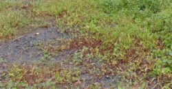 Land for Sale – Rajagiriya