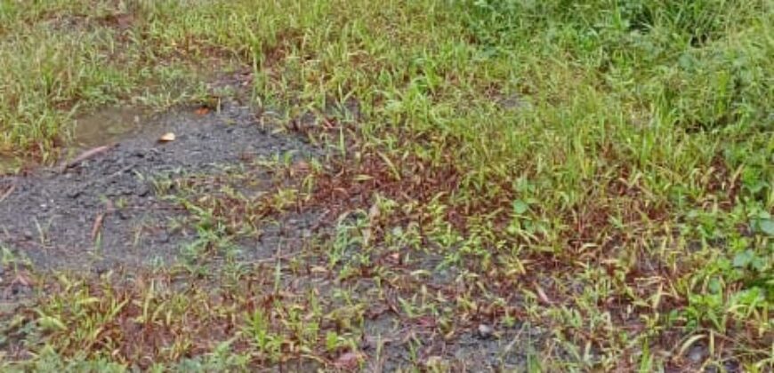 Land for Sale – Rajagiriya