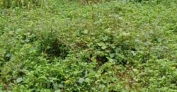 Land for Sale – Rajagiriya