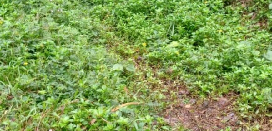 Land for Sale – Rajagiriya