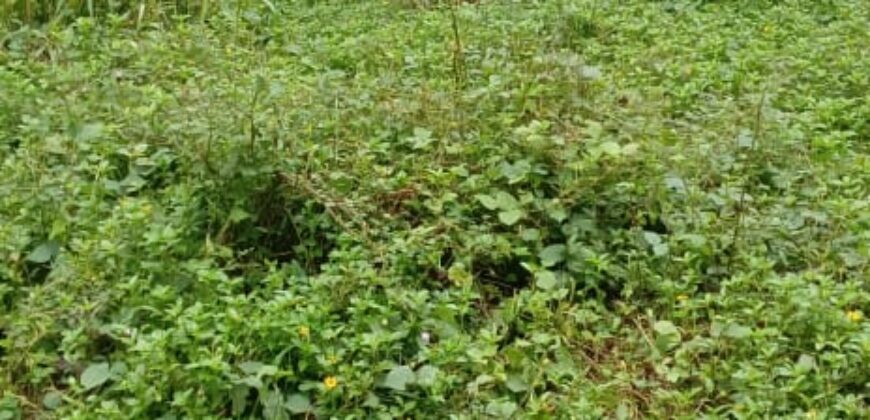 Land for Sale – Rajagiriya