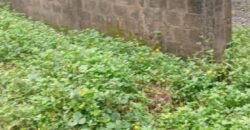 Land for Sale – Rajagiriya