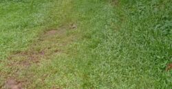 Land for Sale – Rajagiriya