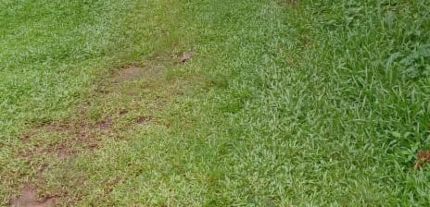 Land for Sale – Rajagiriya
