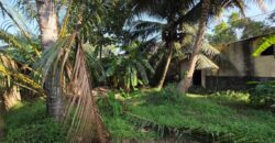 Land for sale – Makola