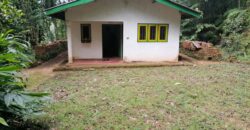 Land for Sale – Kithulgala