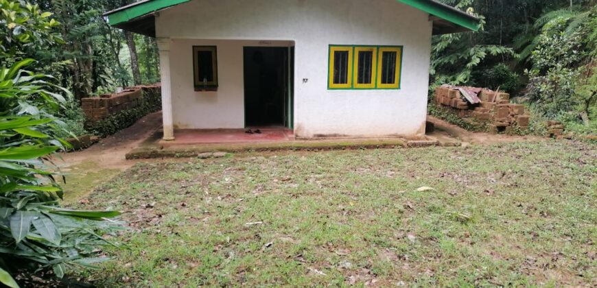 Land for Sale – Kithulgala