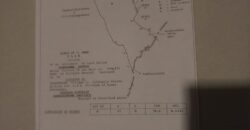 Land for Sale – Kithulgala