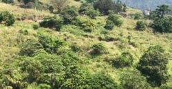 Land for Sale – Galaha