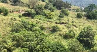 Land for Sale – Galaha