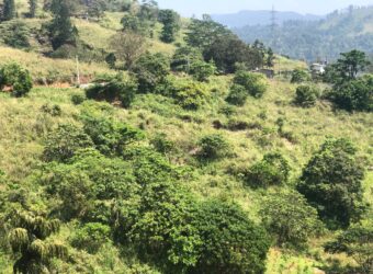 Land for Sale – Galaha