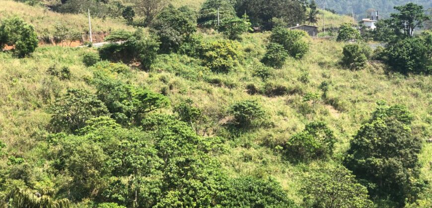 Land for Sale – Galaha