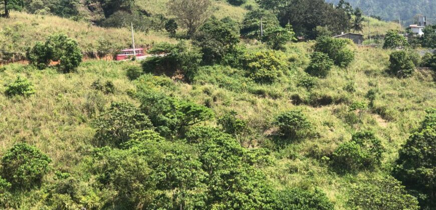 Land for Sale – Galaha