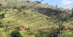 Land for Sale – Galaha