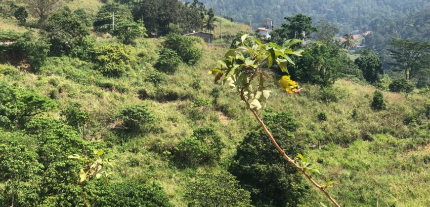 Land for Sale – Galaha