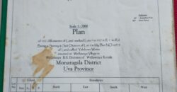 House for Sale – Wellawaya